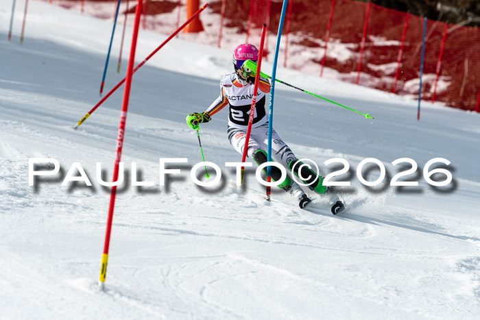 FIS Slalom + NJC Damen + FIS Herren 13.02.2026