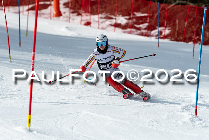 FIS Slalom + NJC Damen + FIS Herren 13.02.2026