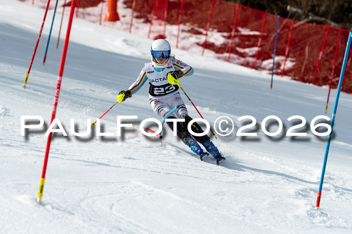 FIS Slalom + NJC Damen + FIS Herren 13.02.2026
