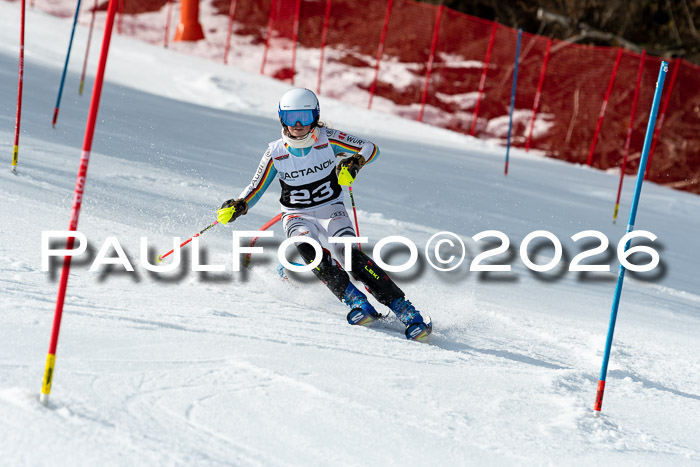 FIS Slalom + NJC Damen + FIS Herren 13.02.2026