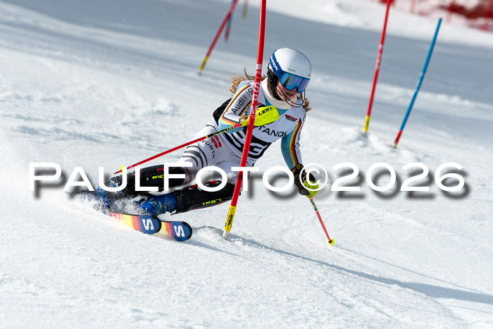 FIS Slalom + NJC Damen + FIS Herren 13.02.2026