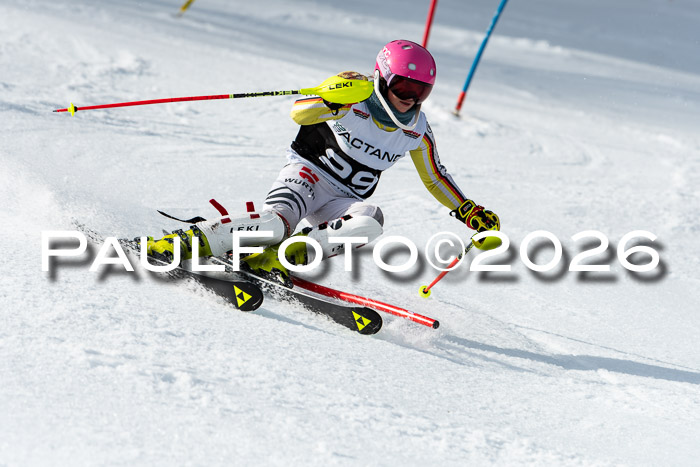 FIS Slalom + NJC Damen + FIS Herren 13.02.2026