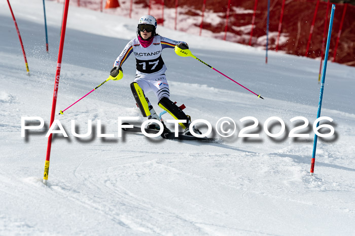 FIS Slalom + NJC Damen + FIS Herren 13.02.2026