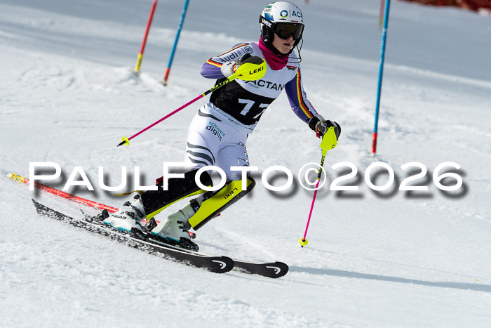 FIS Slalom + NJC Damen + FIS Herren 13.02.2026