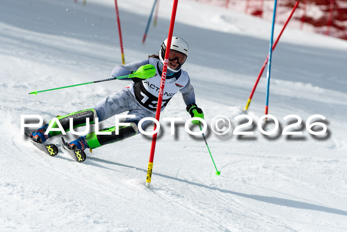 FIS Slalom + NJC Damen + FIS Herren 13.02.2026