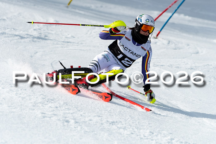 FIS Slalom + NJC Damen + FIS Herren 13.02.2026