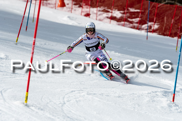 FIS Slalom + NJC Damen + FIS Herren 13.02.2026