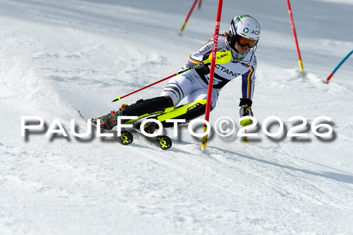 FIS Slalom + NJC Damen + FIS Herren 13.02.2026