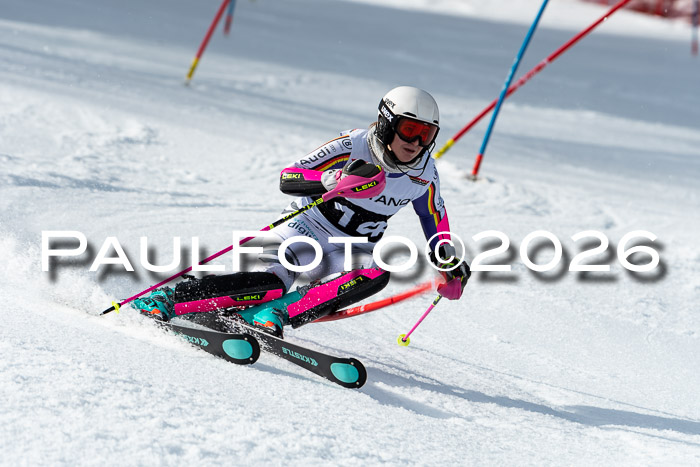 FIS Slalom + NJC Damen + FIS Herren 13.02.2026