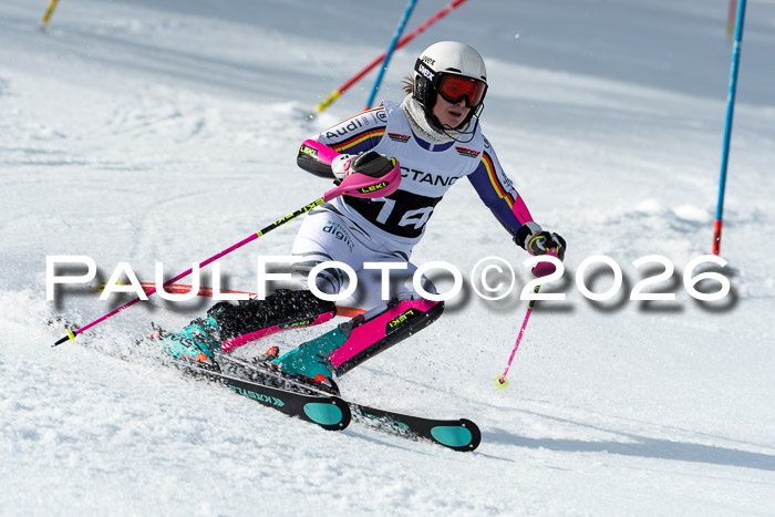 FIS Slalom + NJC Damen + FIS Herren 13.02.2026