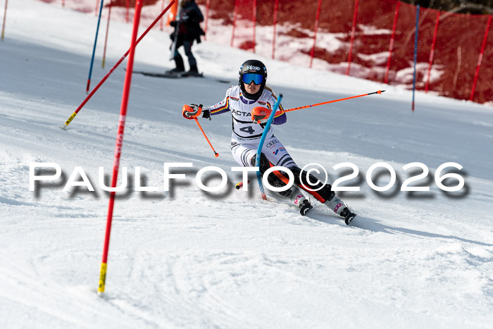 FIS Slalom + NJC Damen + FIS Herren 13.02.2026