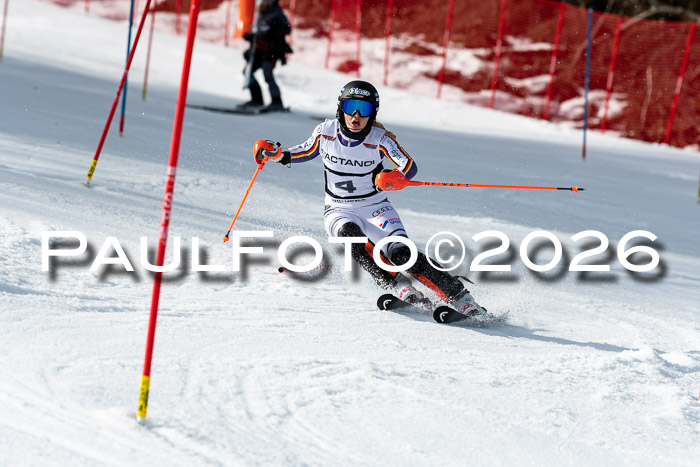 FIS Slalom + NJC Damen + FIS Herren 13.02.2026