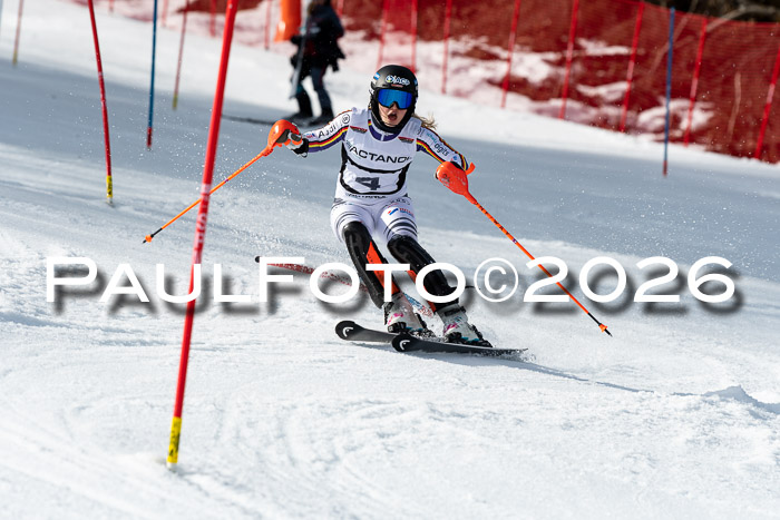 FIS Slalom + NJC Damen + FIS Herren 13.02.2026