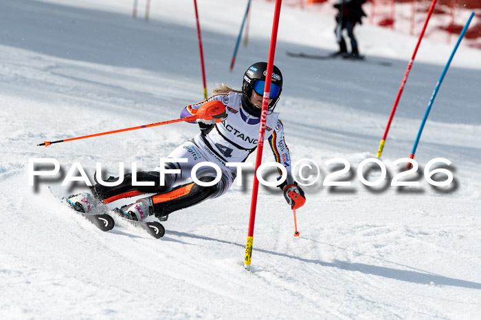 FIS Slalom + NJC Damen + FIS Herren 13.02.2026