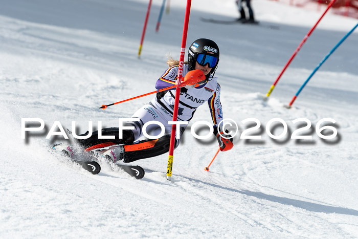 FIS Slalom + NJC Damen + FIS Herren 13.02.2026