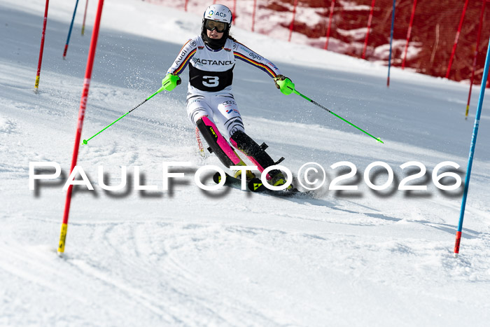 FIS Slalom + NJC Damen + FIS Herren 13.02.2026
