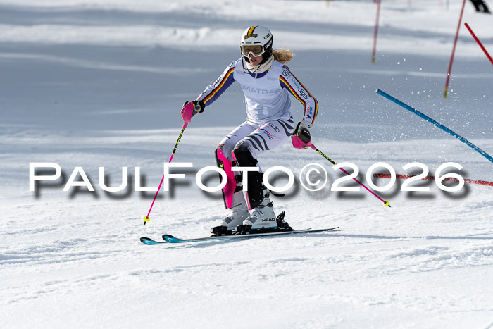 FIS Slalom + NJC Damen + FIS Herren 13.02.2026