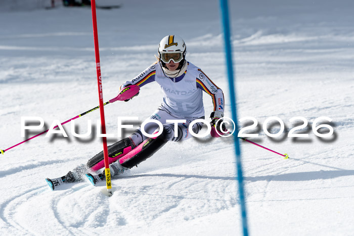 FIS Slalom + NJC Damen + FIS Herren 13.02.2026