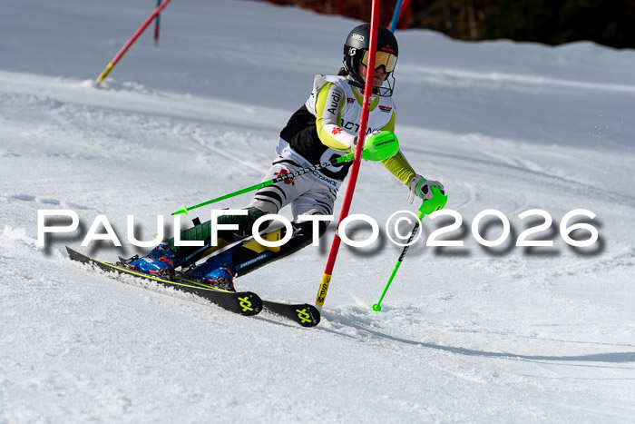 FIS Slalom + NJC Damen + FIS Herren 13.02.2026