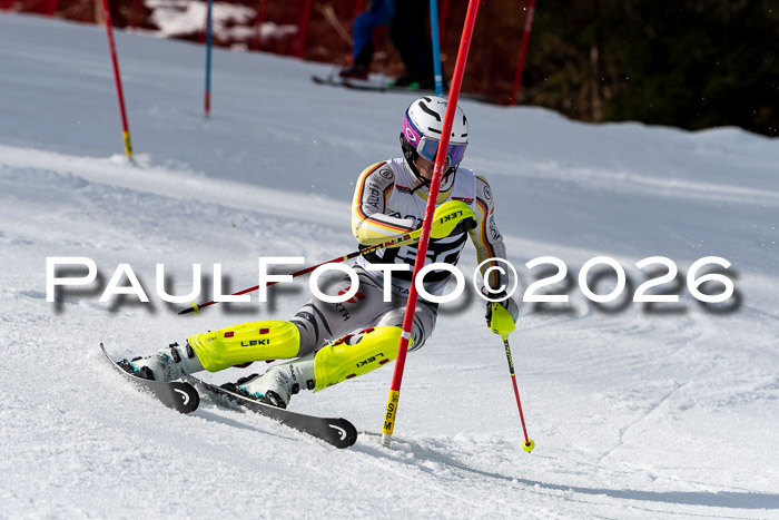FIS Slalom + NJC Damen + FIS Herren 13.02.2026
