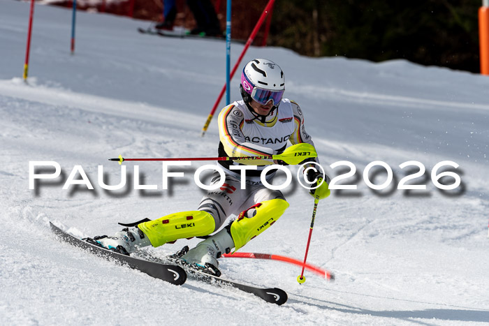 FIS Slalom + NJC Damen + FIS Herren 13.02.2026