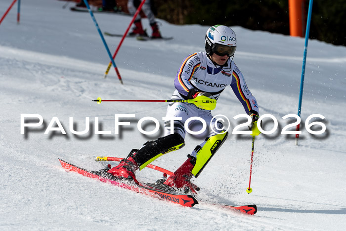 FIS Slalom + NJC Damen + FIS Herren 13.02.2026