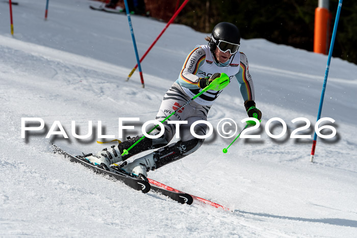 FIS Slalom + NJC Damen + FIS Herren 13.02.2026