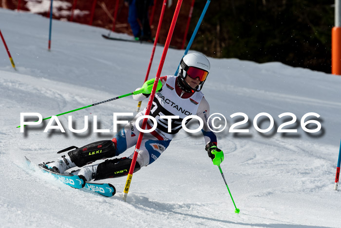 FIS Slalom + NJC Damen + FIS Herren 13.02.2026