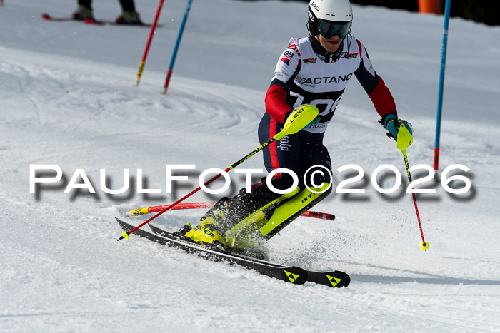FIS Slalom + NJC Damen + FIS Herren 13.02.2026