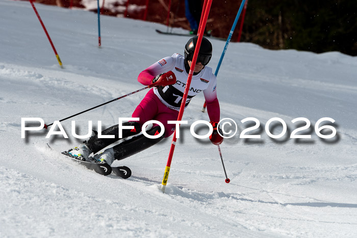 FIS Slalom + NJC Damen + FIS Herren 13.02.2026