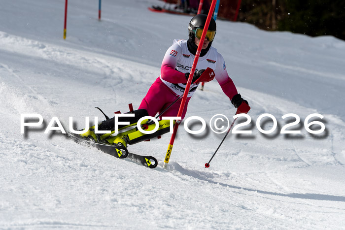 FIS Slalom + NJC Damen + FIS Herren 13.02.2026