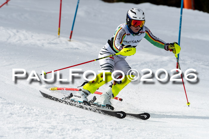 FIS Slalom + NJC Damen + FIS Herren 13.02.2026