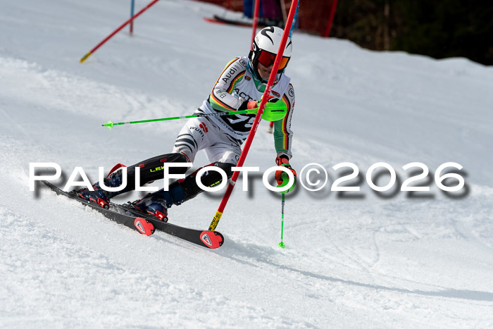 FIS Slalom + NJC Damen + FIS Herren 13.02.2026