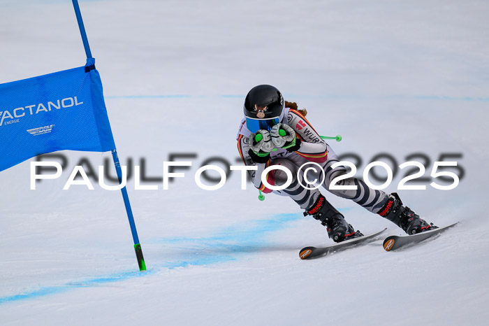 DSV Actanol Schülercup U16  RS, 31.01.2026