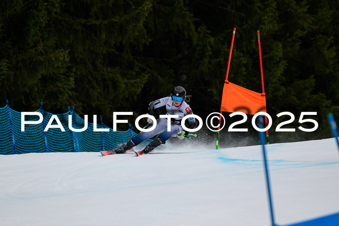 DSV Actanol Schülercup U16  RS, 31.01.2026