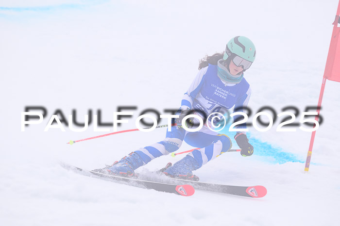 BSV Skiliga Bayern Schüler RS 14.02.2026