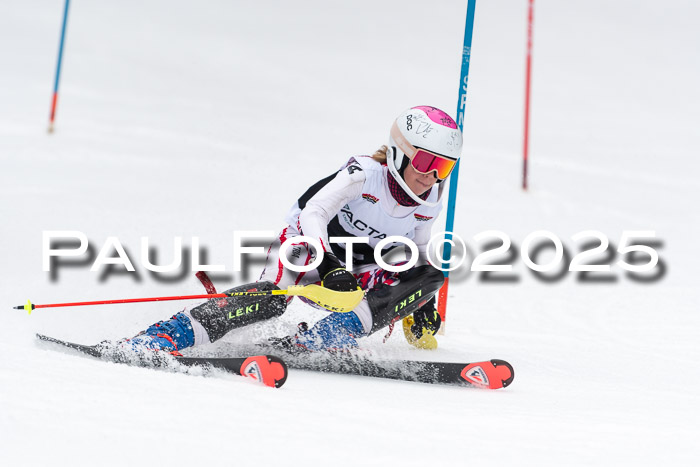 Actanol Schülercup Alpin U14 SL, 14.02.2026