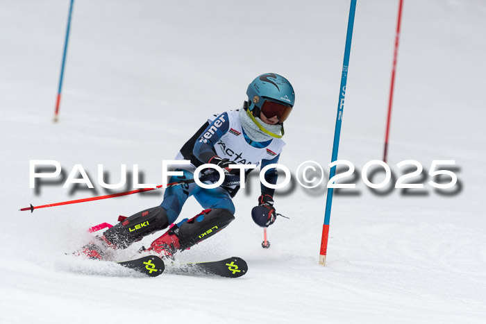 Actanol Schülercup Alpin U14 SL, 14.02.2026