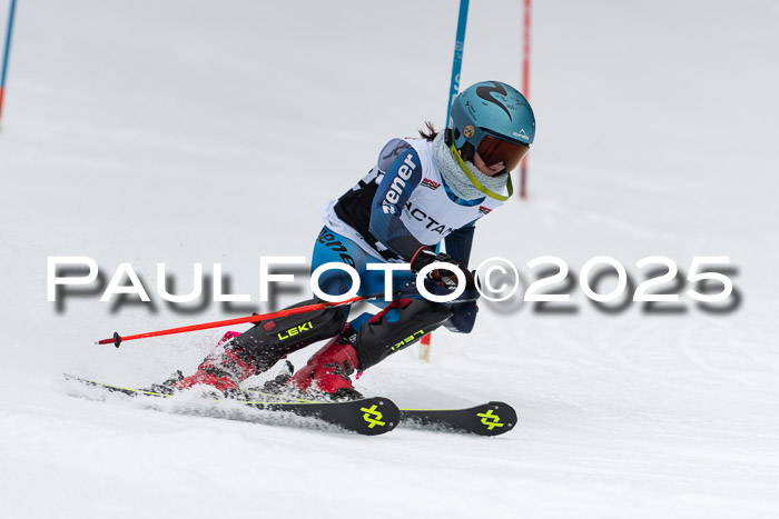 Actanol Schülercup Alpin U14 SL, 14.02.2026