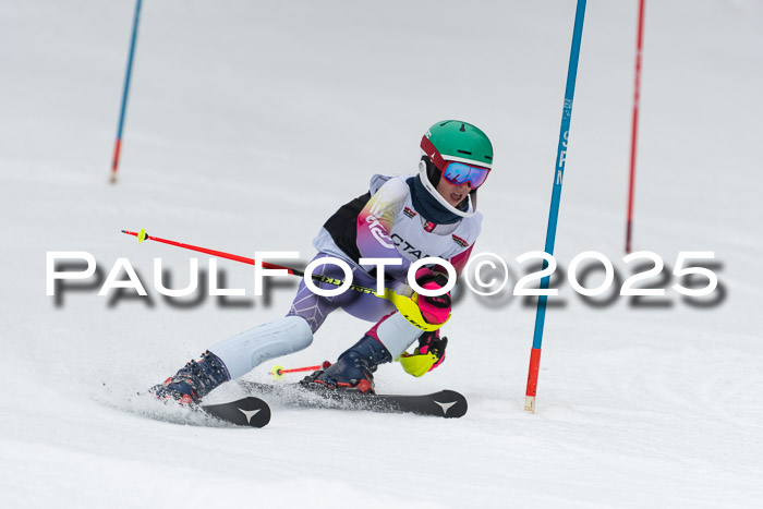 Actanol Schülercup Alpin U14 SL, 14.02.2026