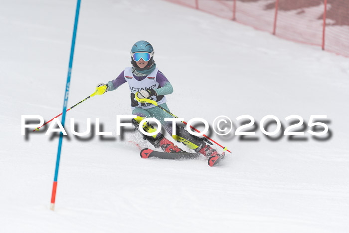 Actanol Schülercup Alpin U14 SL, 14.02.2026