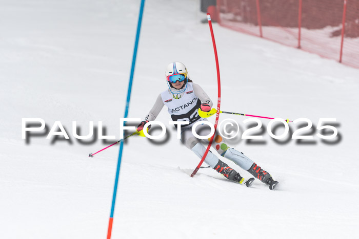 Actanol Schülercup Alpin U14 SL, 14.02.2026