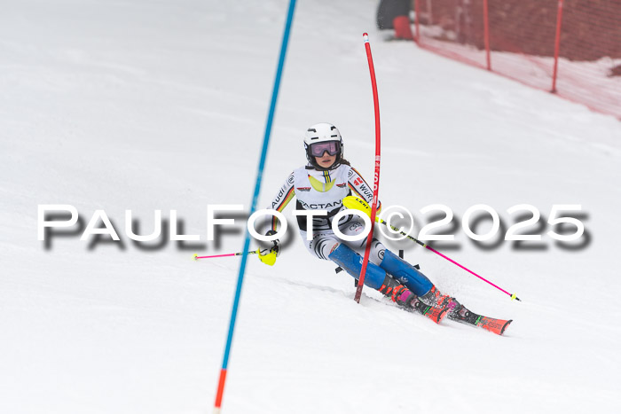 Actanol Schülercup Alpin U14 SL, 14.02.2026