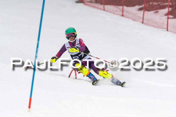 Actanol Schülercup Alpin U14 SL, 14.02.2026
