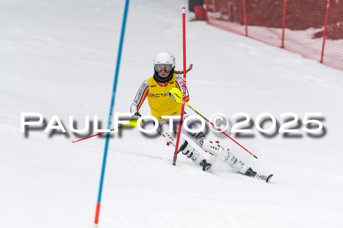 Actanol Schülercup Alpin U14 SL, 14.02.2026