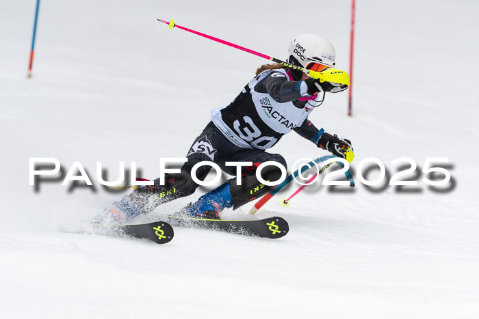 Actanol Schülercup Alpin U14 SL, 14.02.2026