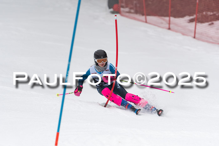 Actanol Schülercup Alpin U14 SL, 14.02.2026