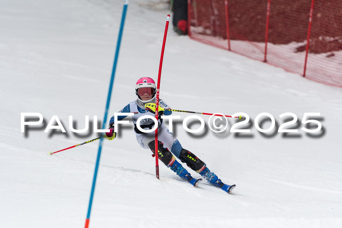 Actanol Schülercup Alpin U14 SL, 14.02.2026