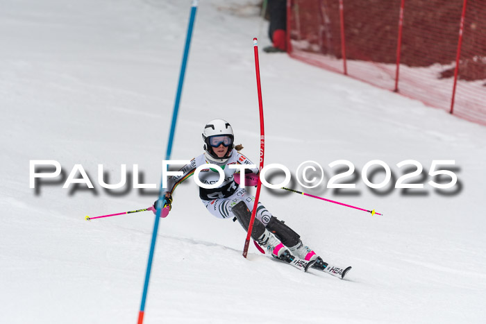 Actanol Schülercup Alpin U14 SL, 14.02.2026