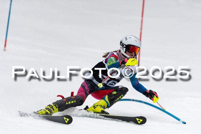 Actanol Schülercup Alpin U14 SL, 14.02.2026